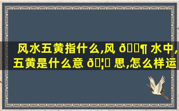 风水五黄指什么,风 🐶 水中,五黄是什么意 🦅 思,怎么样运用五黄